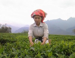 Clean and Green Production Enhances Competitiveness