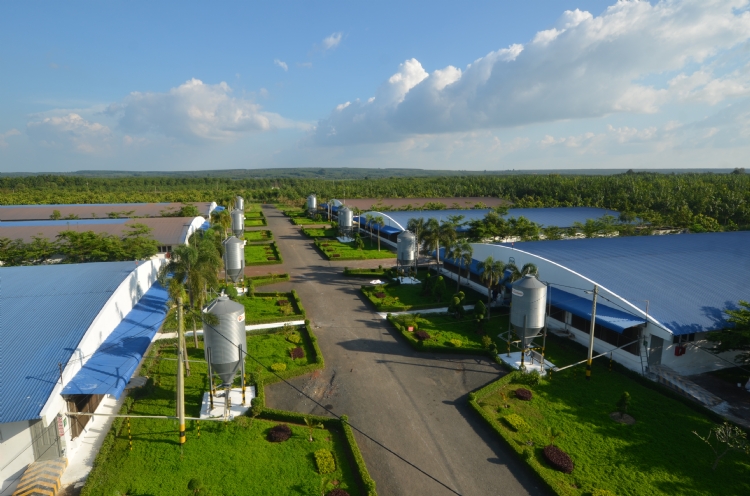 C.P. Vietnam Corporation (CPV) is making efforts to foster creativity and innovation in its production processes